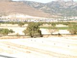 Menemen Kuzey Ege Otobanına cepheli Satılık Arsa 